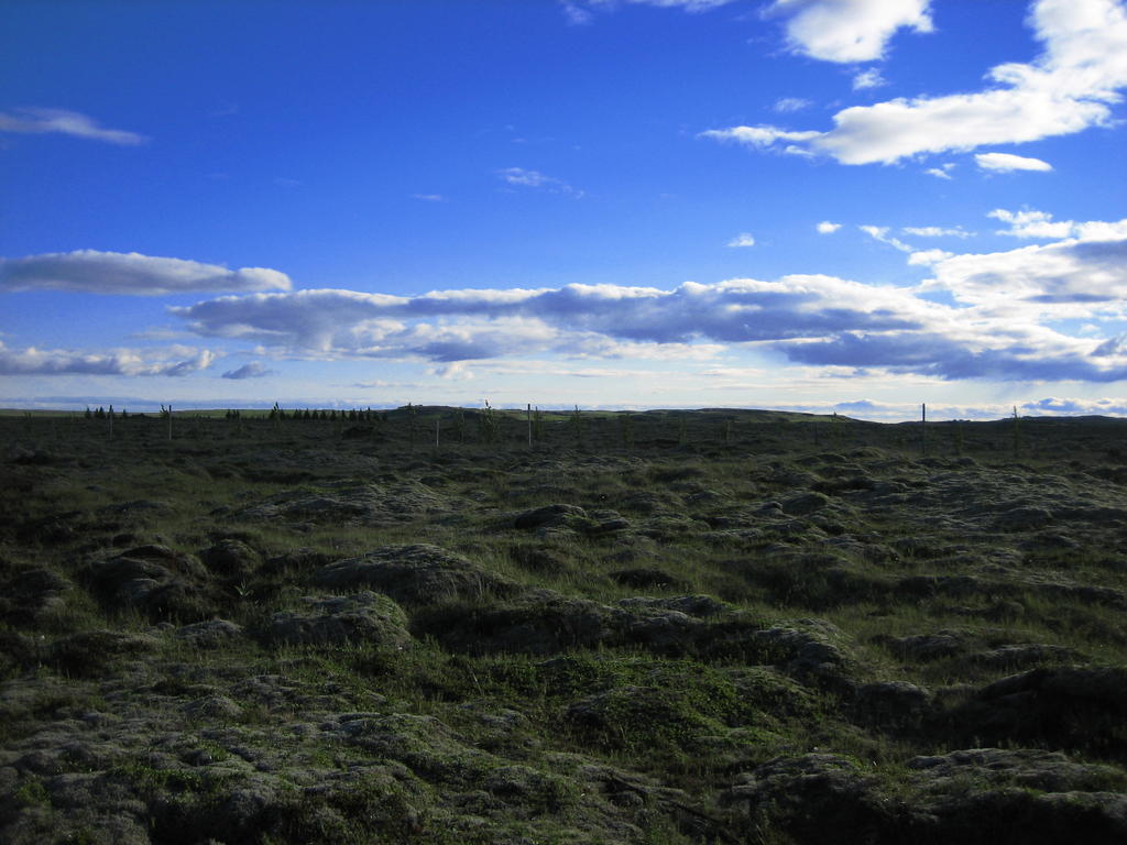 Icelandic Cottages Hraunmork Eksteriør bilde